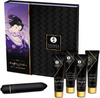 Набор Shunga Naughty Geisha из 5 предметов с вибропулей
