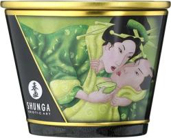 Массажное аромамасло в виде свечи Shunga «Экзотический зеленый чай» 170 мл_1
