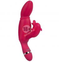 Вибратор со стимулятором клитора SASHAY VIBRATOR DOLPHIN - 17,5 см.