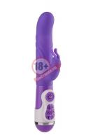 Фиолетовый вибратор с клиторальной стимуляцией INSTYLE DUO VIBRATOR 5.5INCH - 14 см.