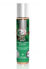 Лубрикант на водной основе с ароматом мяты JO Flavored Cool Mint - 30 мл.