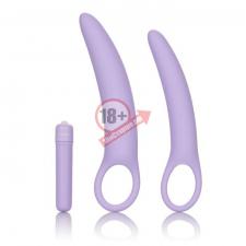 Набор силиконовых расширителей Dr. Laura Berman Isabelle Set of 2 Vibrating Silicone Dilators